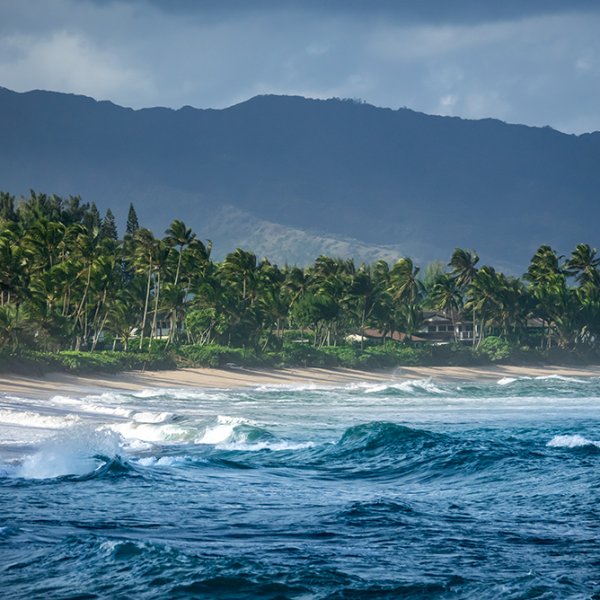 Nohea Cleaning - Luxury Home Cleaning Honolulu